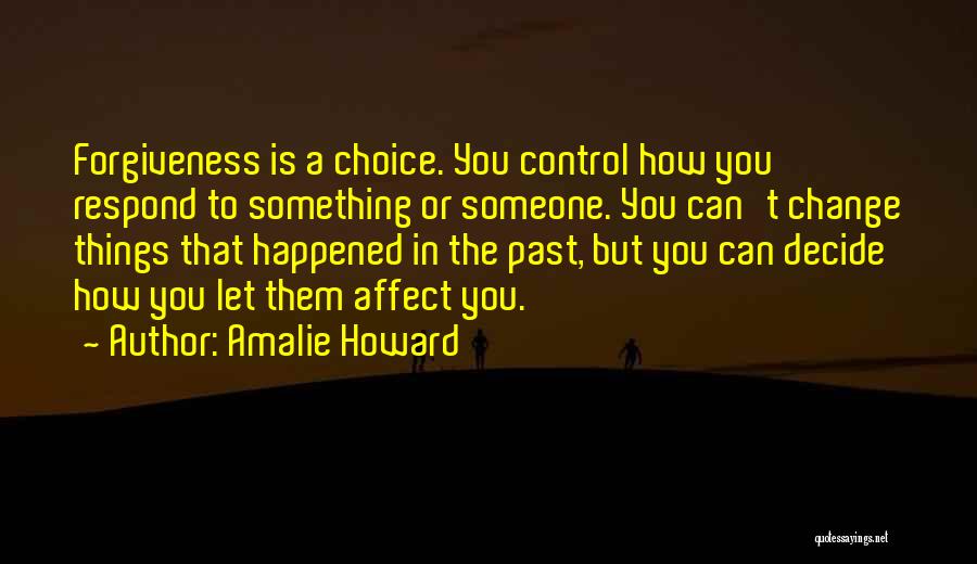 You Can't Change The Past Quotes By Amalie Howard