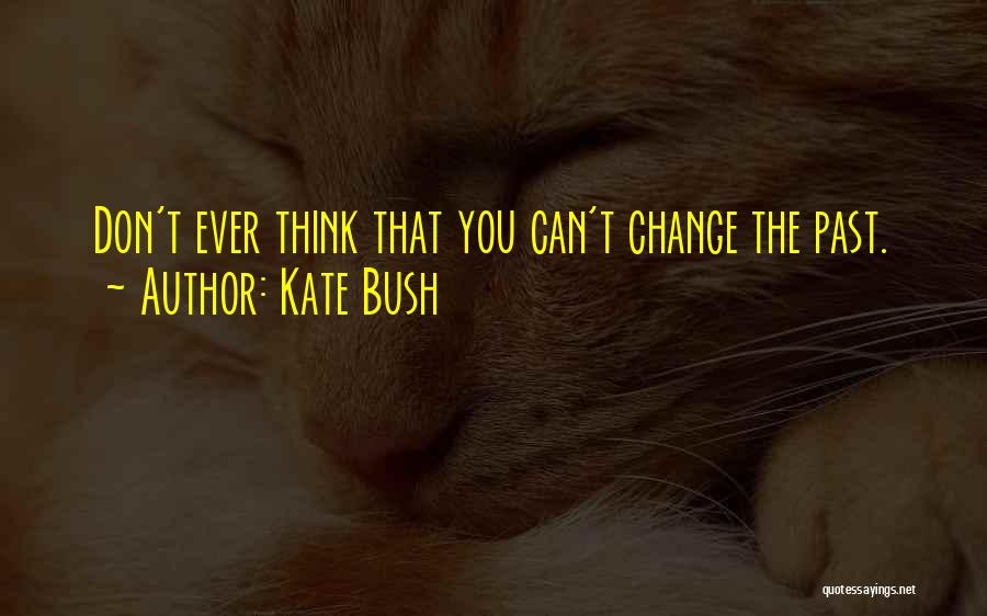 You Can't Change The Past Quotes By Kate Bush