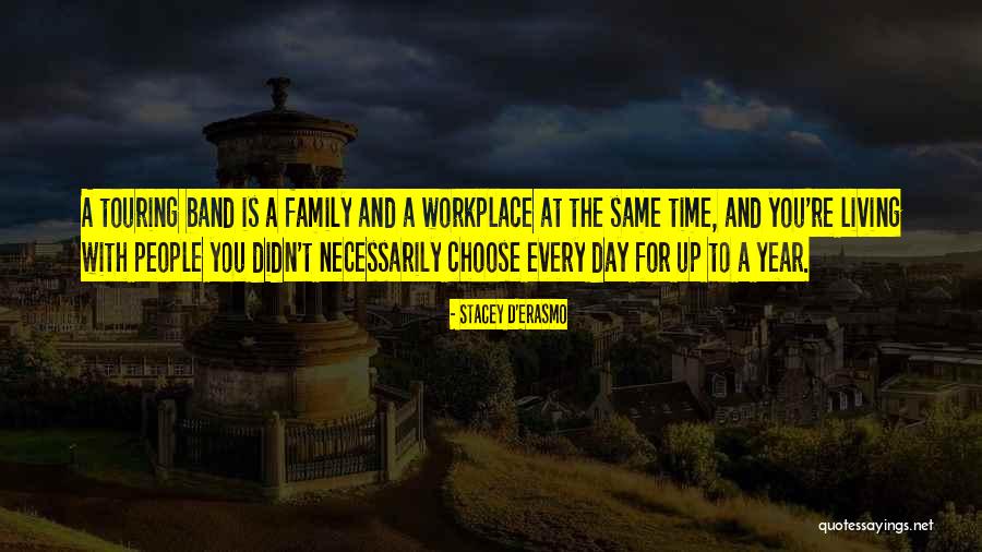 You Can't Choose Your Family Quotes By Stacey D'Erasmo