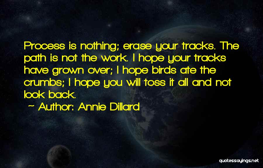 You Can't Erase The Past Quotes By Annie Dillard