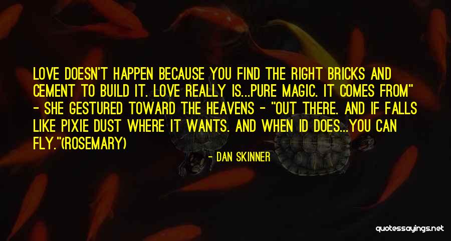 You Can't Find Love Quotes By Dan Skinner