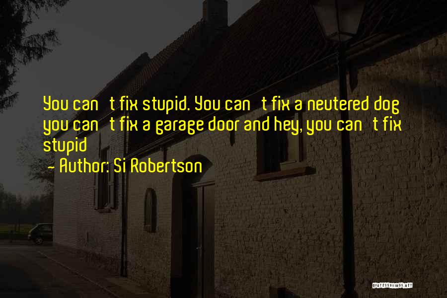 You Can't Fix Stupid Quotes By Si Robertson