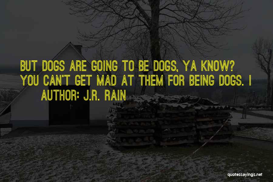 You Can't Get Mad Quotes By J.R. Rain