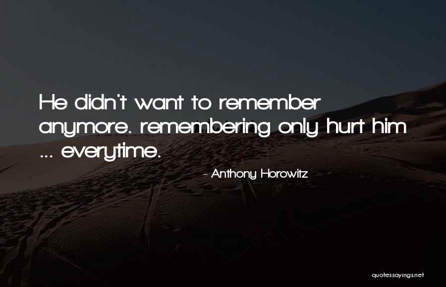 You Can't Hurt Me Anymore Quotes By Anthony Horowitz