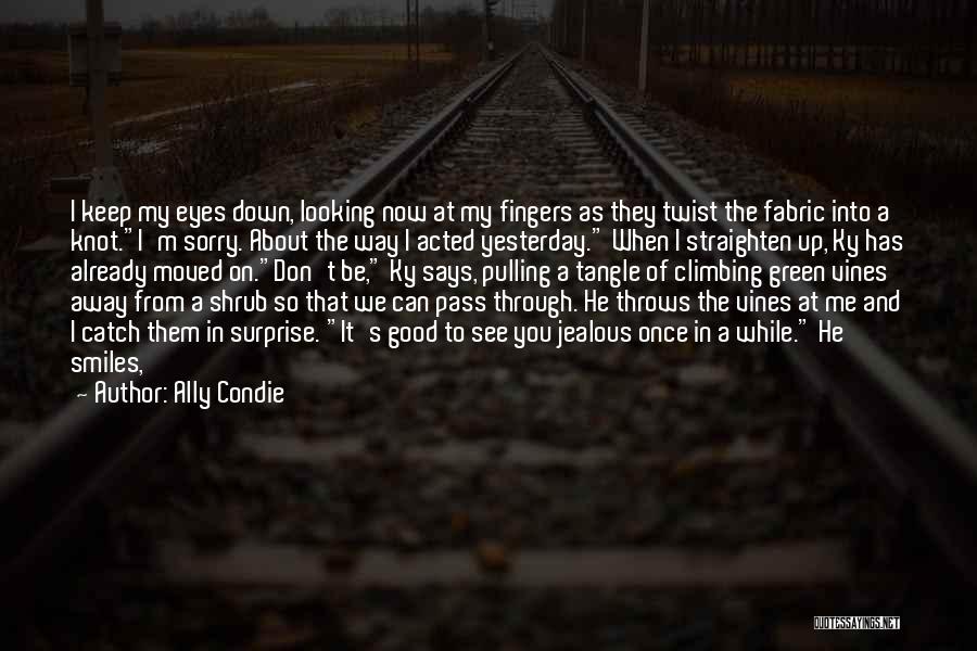 You Can't See My Eyes Quotes By Ally Condie