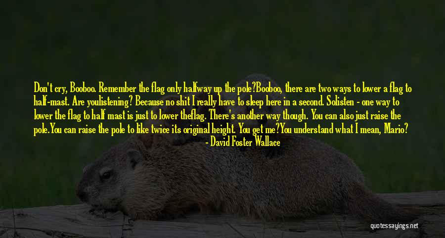 You Can't Sleep Quotes By David Foster Wallace