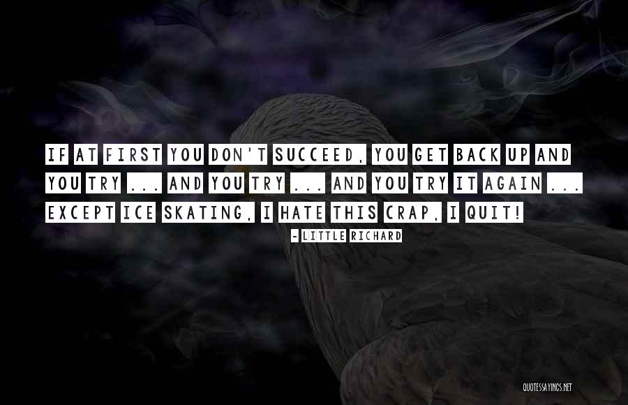 You Can't Succeed If You Don't Try Quotes By Little Richard You Can't Succeed If You Don't Try Quotes By Little Richard