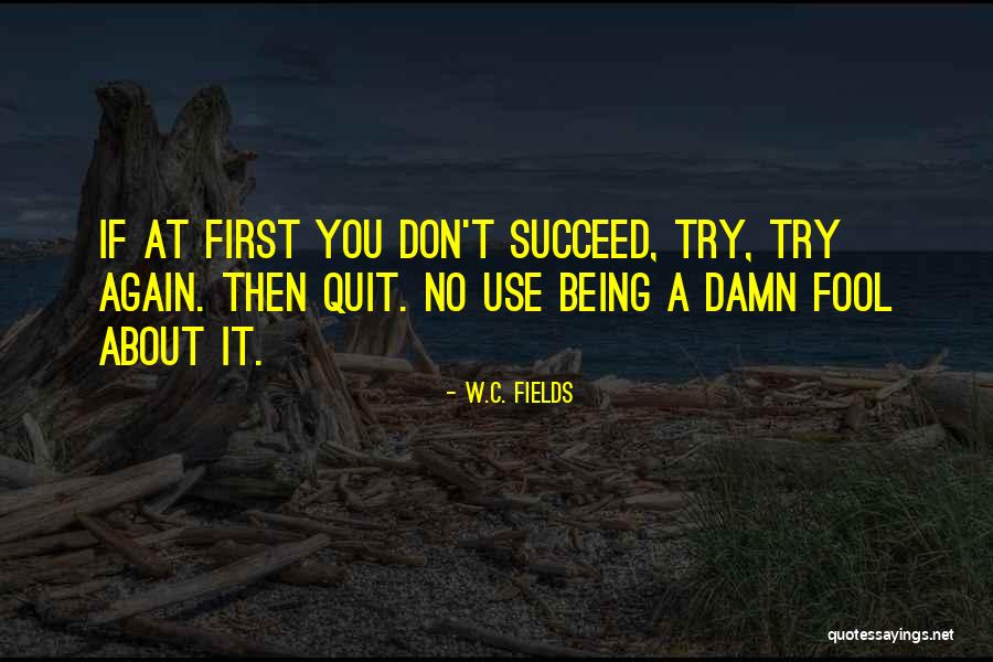 You Can't Succeed If You Don't Try Quotes By W.C. Fields You Can't Succeed If You Don't Try Quotes By W.C. Fields