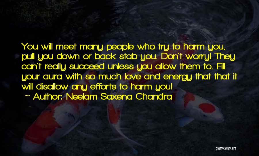 You Can't Succeed Quotes By Neelam Saxena Chandra