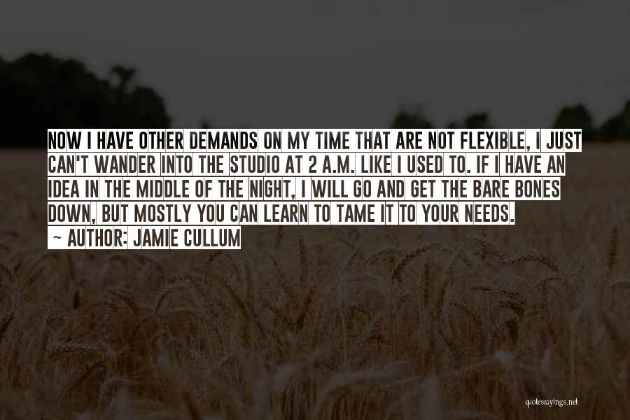 You Can't Tame Quotes By Jamie Cullum