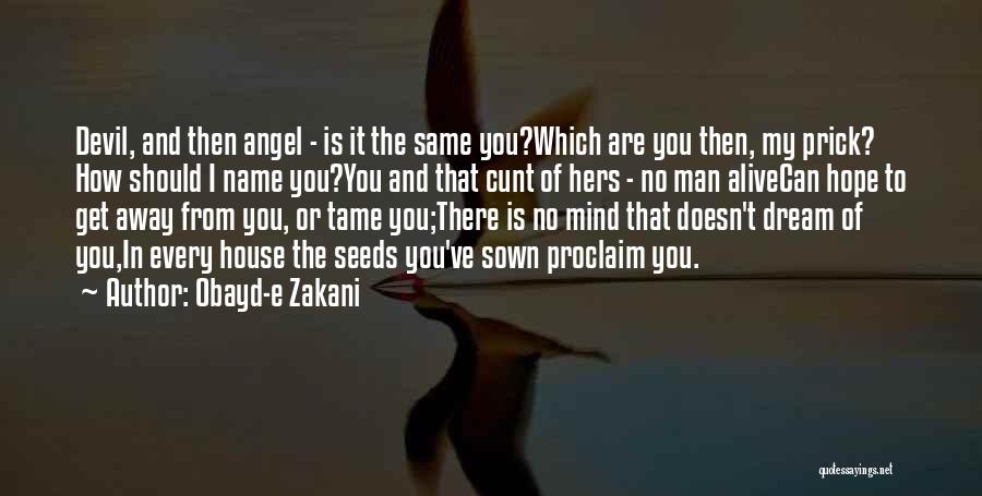 You Can't Tame Quotes By Obayd-e Zakani