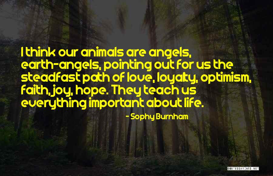 You Cant Teach Loyalty Quotes By Sophy Burnham You Cant Teach Loyalty Quotes By Sophy Burnham
