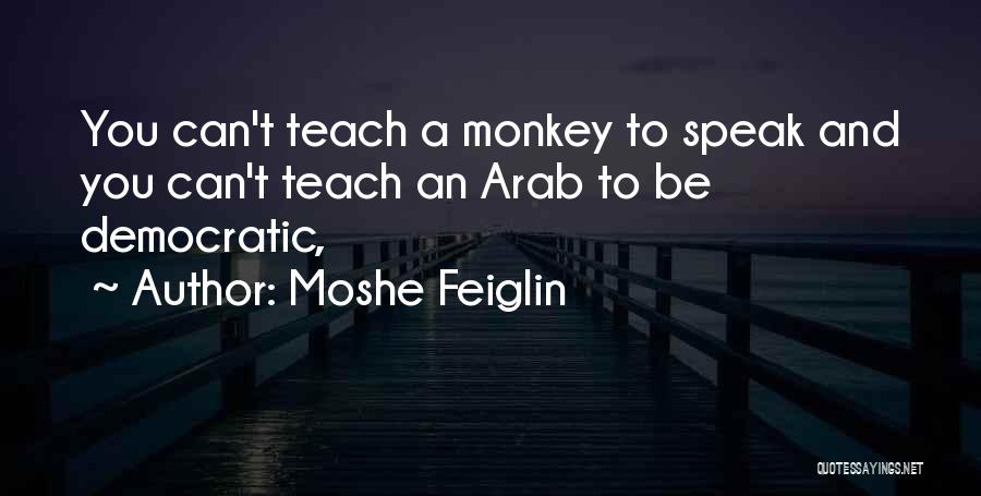 You Can't Teach Quotes By Moshe Feiglin