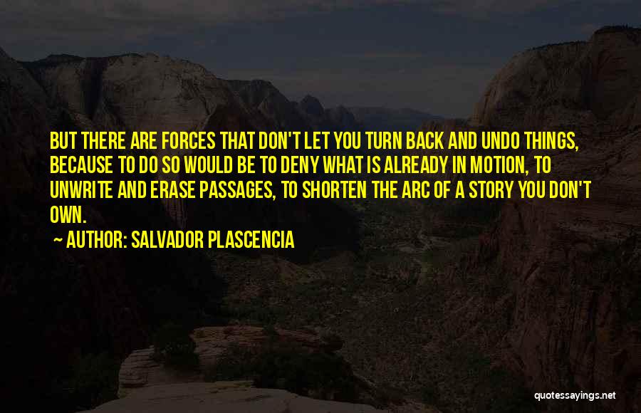 You Can't Undo The Past Quotes By Salvador Plascencia