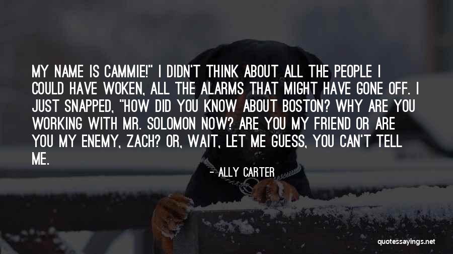 You Can't Wait Quotes By Ally Carter