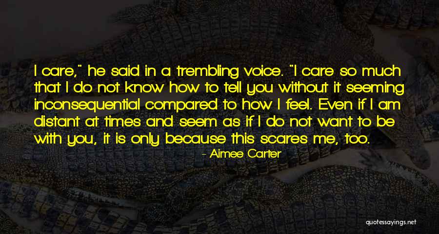 You Care Me So Much Quotes By Aimee Carter