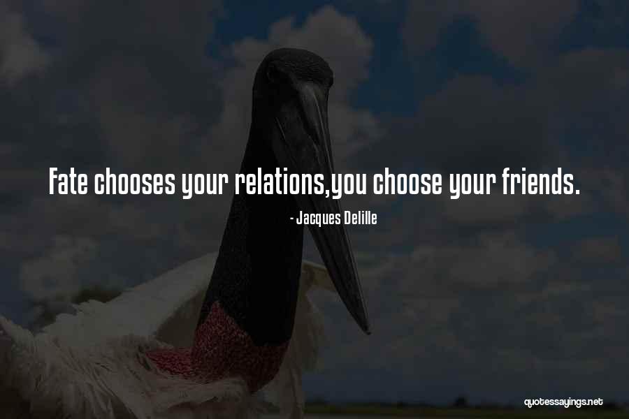 You Choose Your Friends Quotes By Jacques Delille