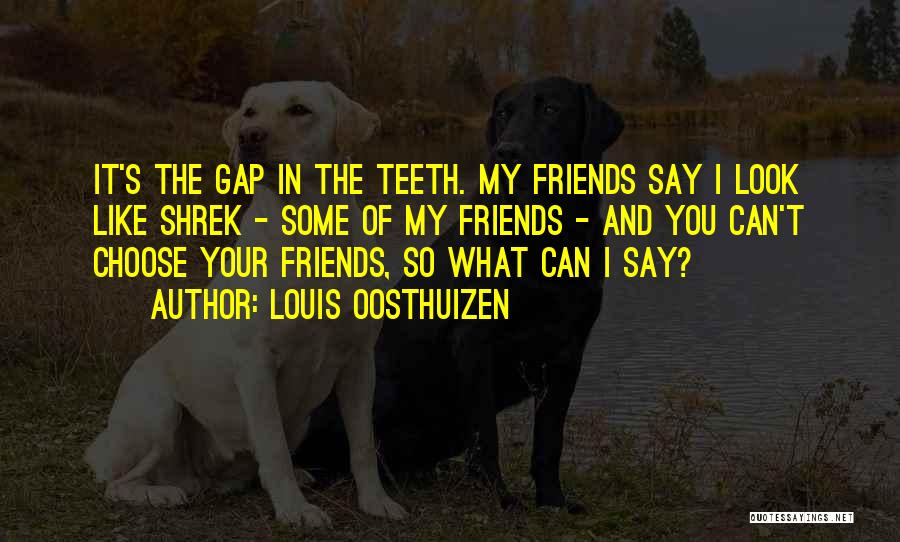 You Choose Your Friends Quotes By Louis Oosthuizen