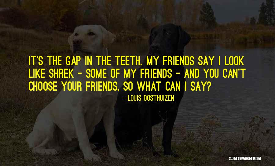 You Choose Your Friends Quotes By Louis Oosthuizen