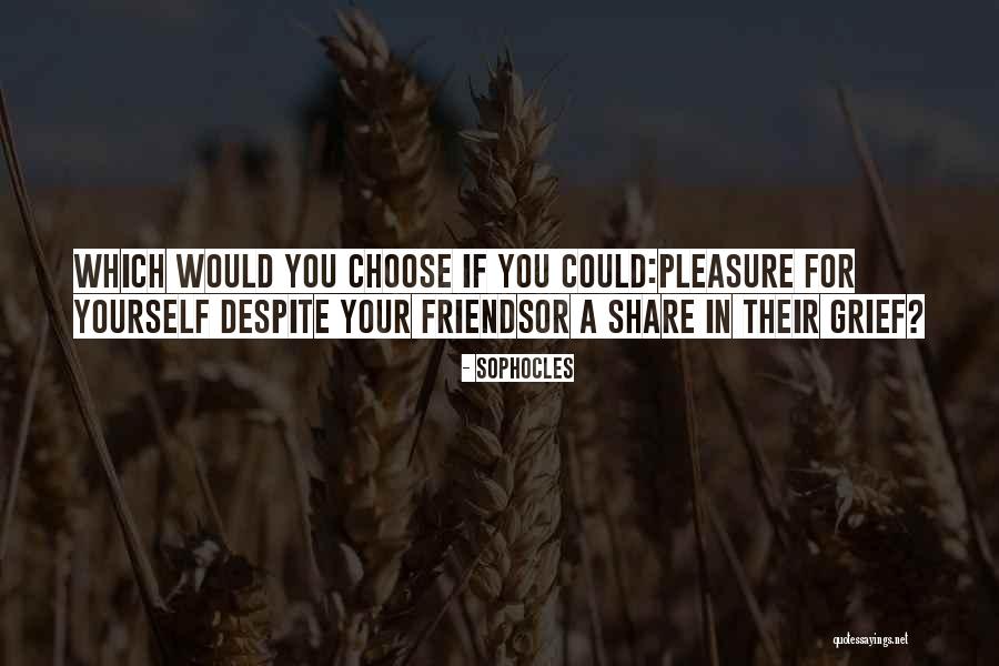 You Choose Your Friends Quotes By Sophocles