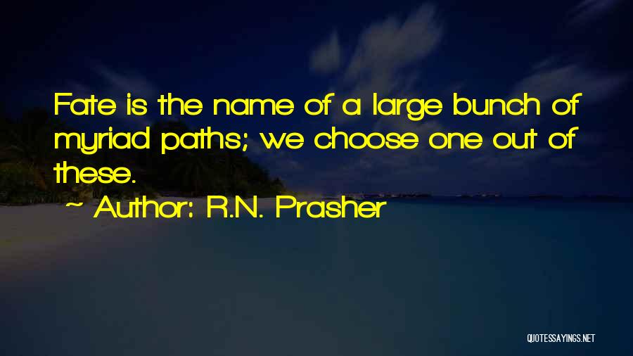 You Choose Your Own Fate Quotes By R.N. Prasher