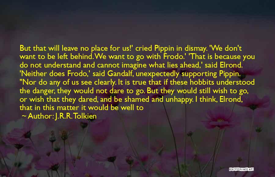 You Chose Him Quotes By J.R.R. Tolkien