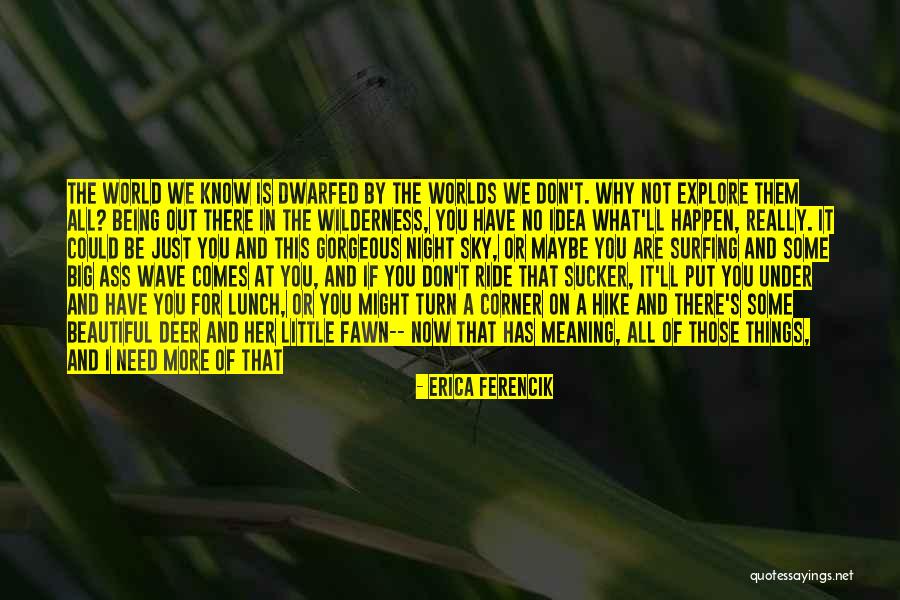 You Could Care Less Quotes By Erica Ferencik You Could Care Less Quotes By Erica Ferencik
