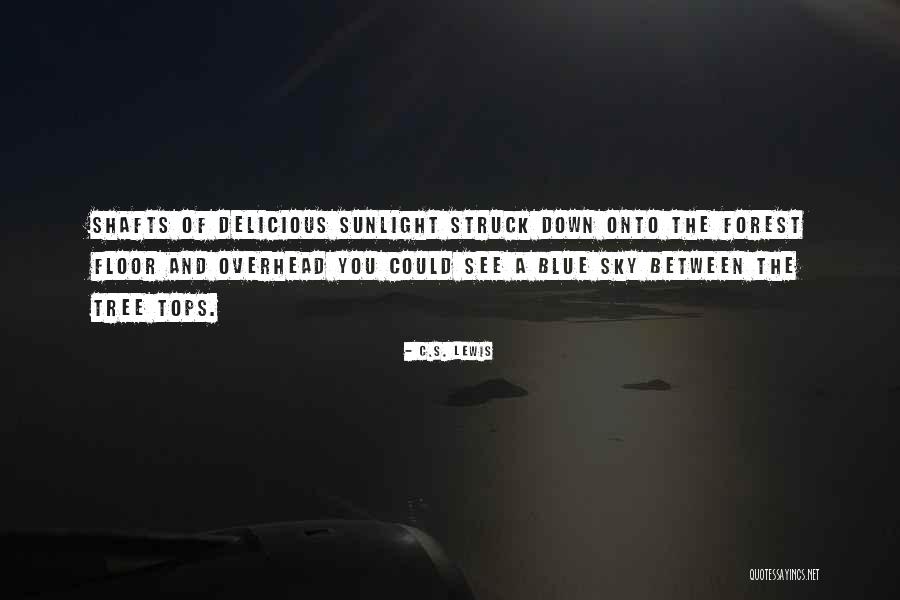 You Could Quotes By C.S. Lewis You Could Quotes By C.S. Lewis