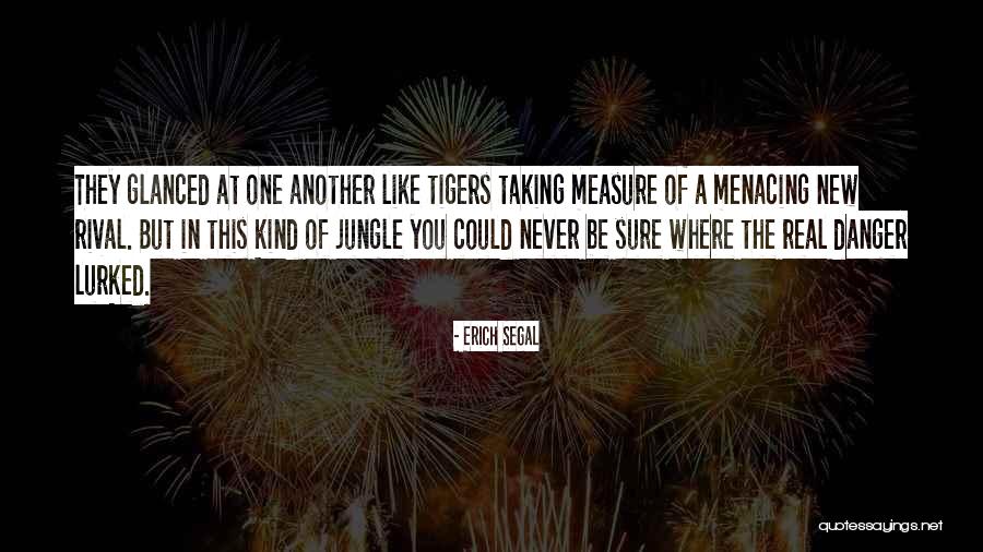 You Could Quotes By Erich Segal You Could Quotes By Erich Segal