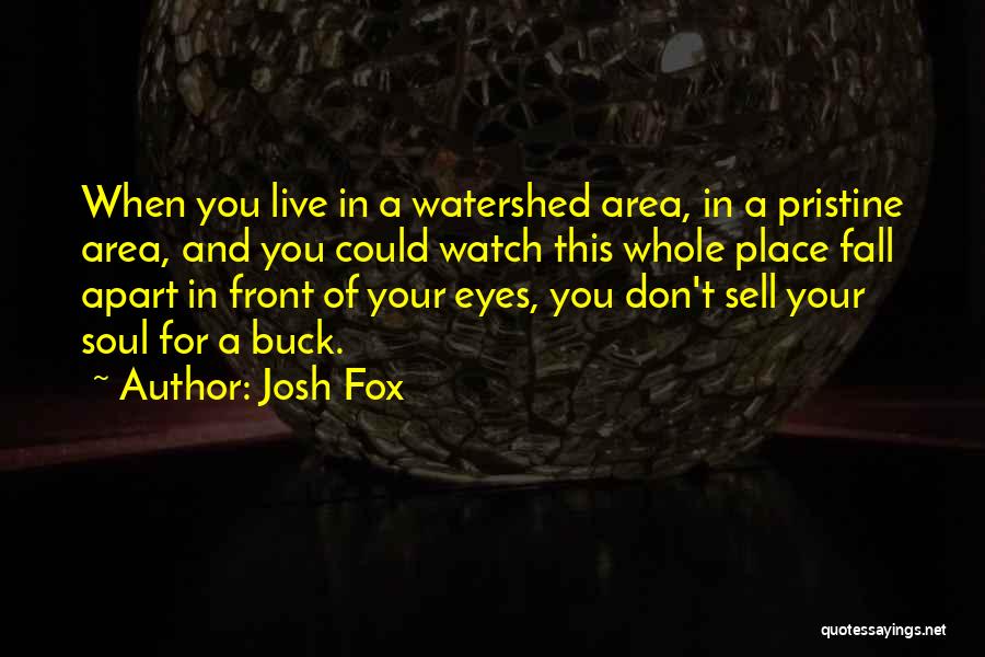 You Could Sell Quotes By Josh Fox