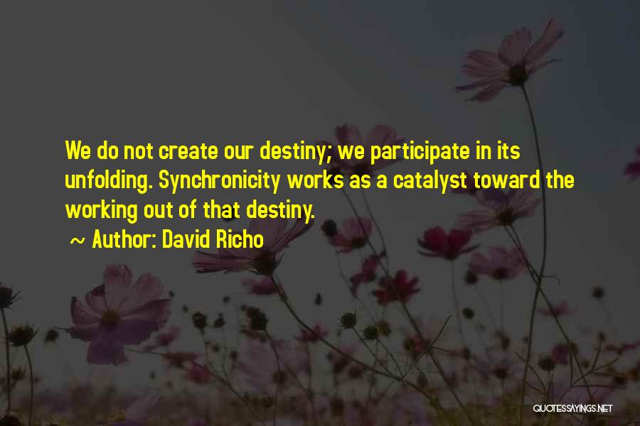 You Create Your Destiny Quotes By David Richo