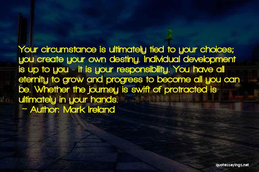 You Create Your Destiny Quotes By Mark Ireland