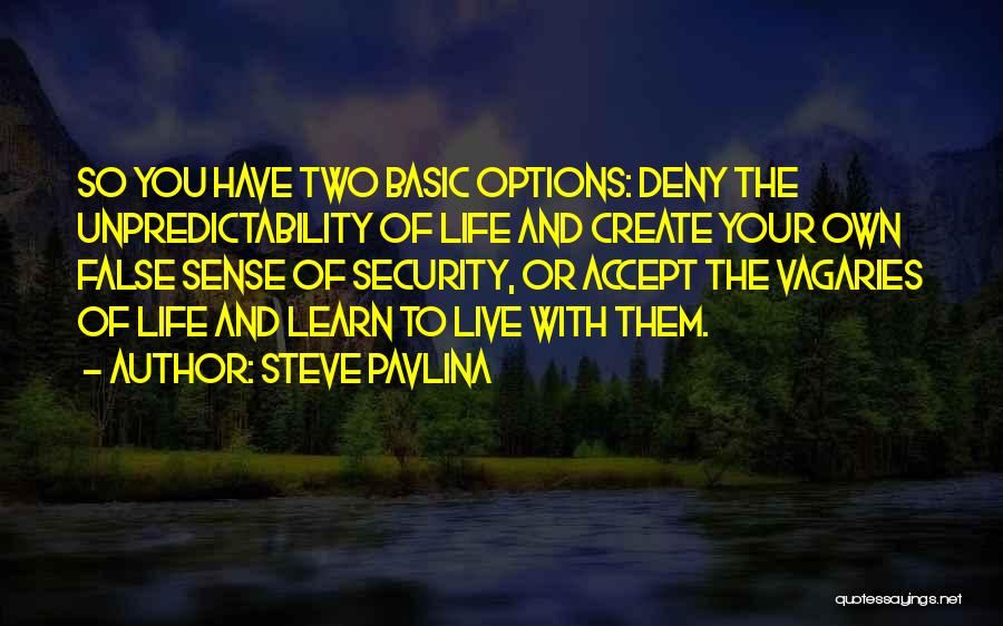 You Create Your Own Life Quotes By Steve Pavlina