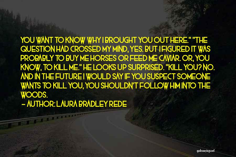 You Crossed My Mind Quotes By Laura Bradley Rede