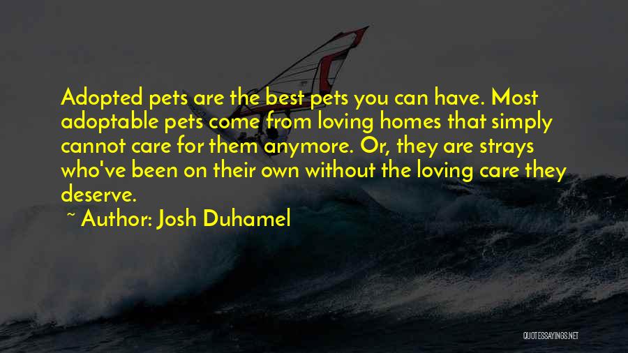 You Deserve The Best Quotes By Josh Duhamel