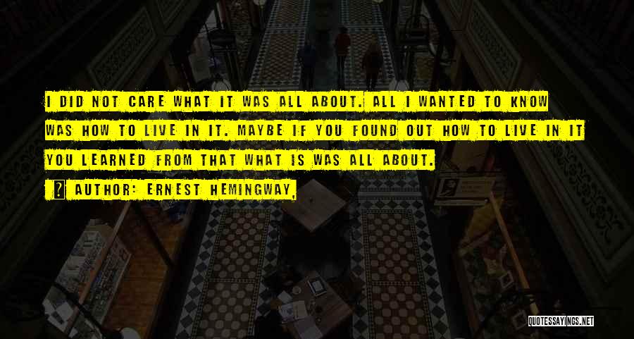 You Did It Quotes By Ernest Hemingway, You Did It Quotes By Ernest Hemingway,