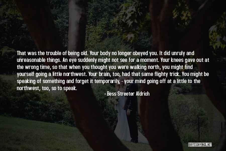 You Did It To Yourself Quotes By Bess Streeter Aldrich