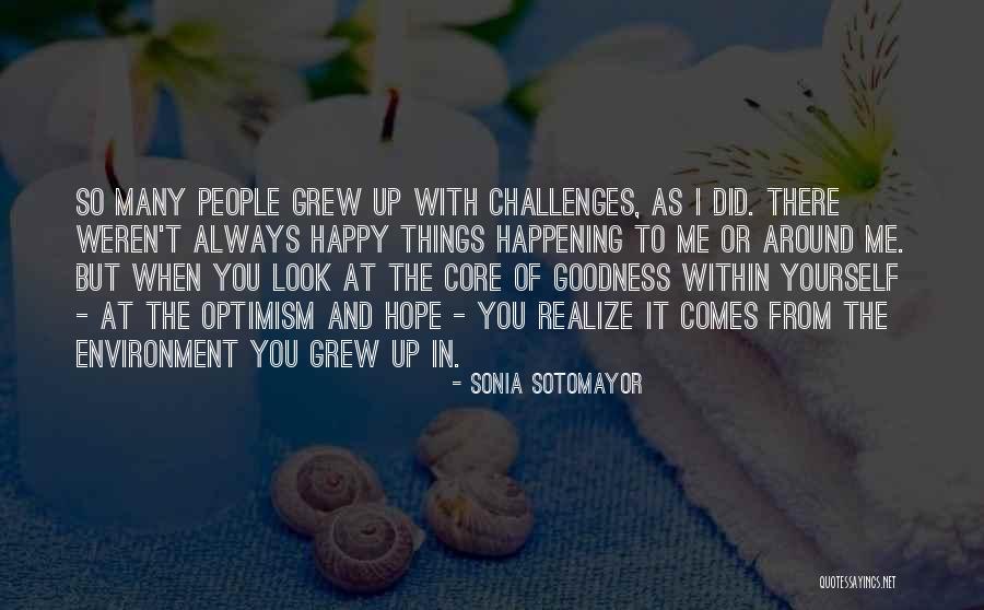 You Did It To Yourself Quotes By Sonia Sotomayor