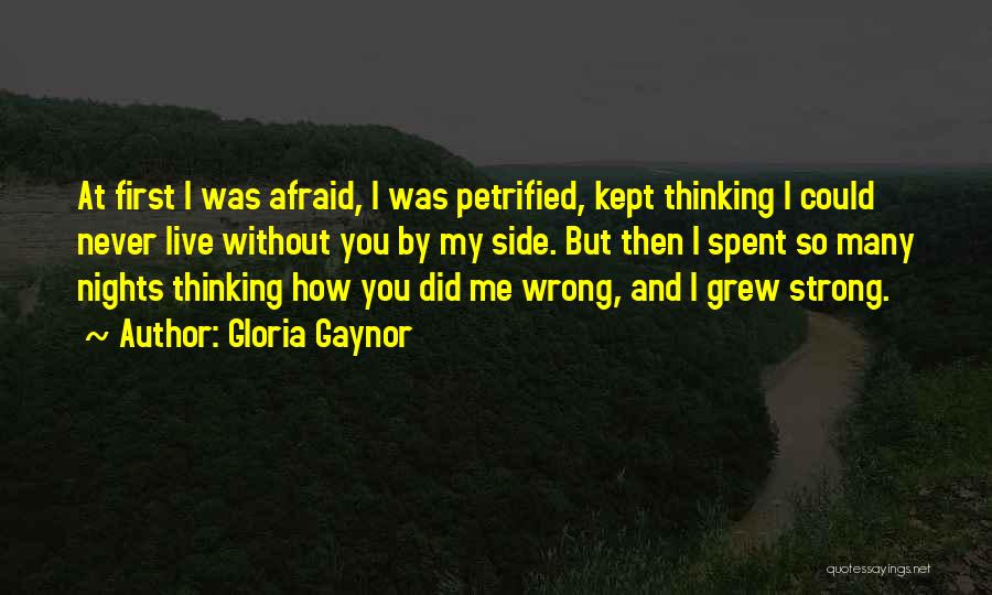 You Did Me So Wrong Quotes By Gloria Gaynor