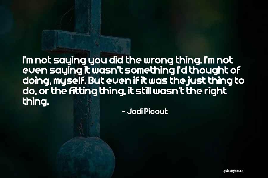 You Did Wrong Quotes By Jodi Picoult