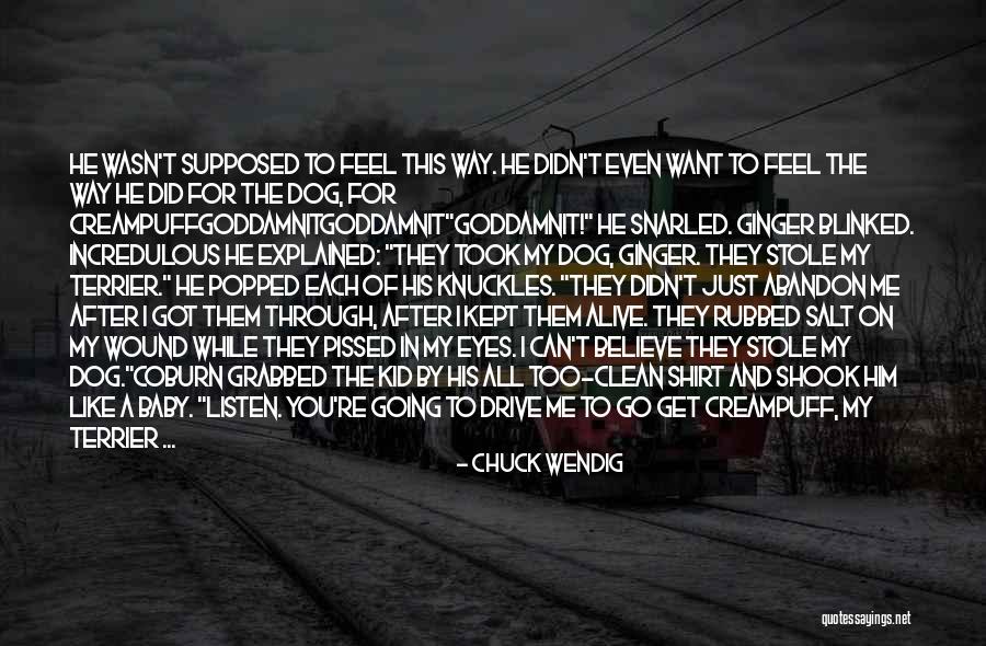 You Didn't Believe In Me Quotes By Chuck Wendig