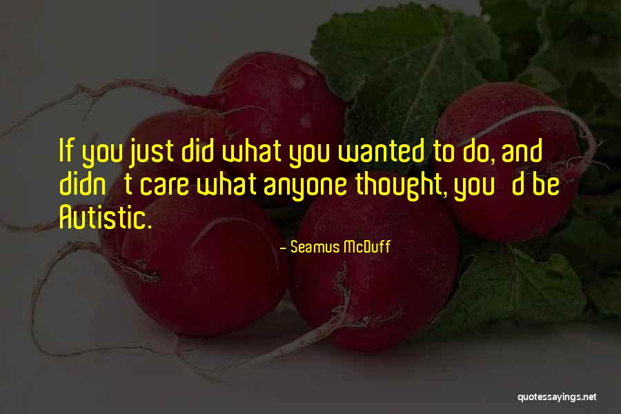 You Didn't Care Quotes By Seamus McDuff