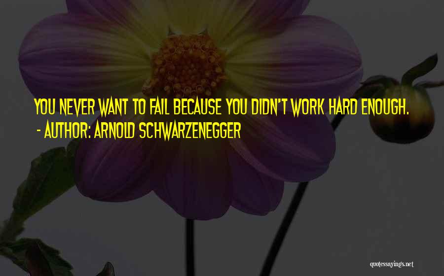 You Didn't Fail Quotes By Arnold Schwarzenegger