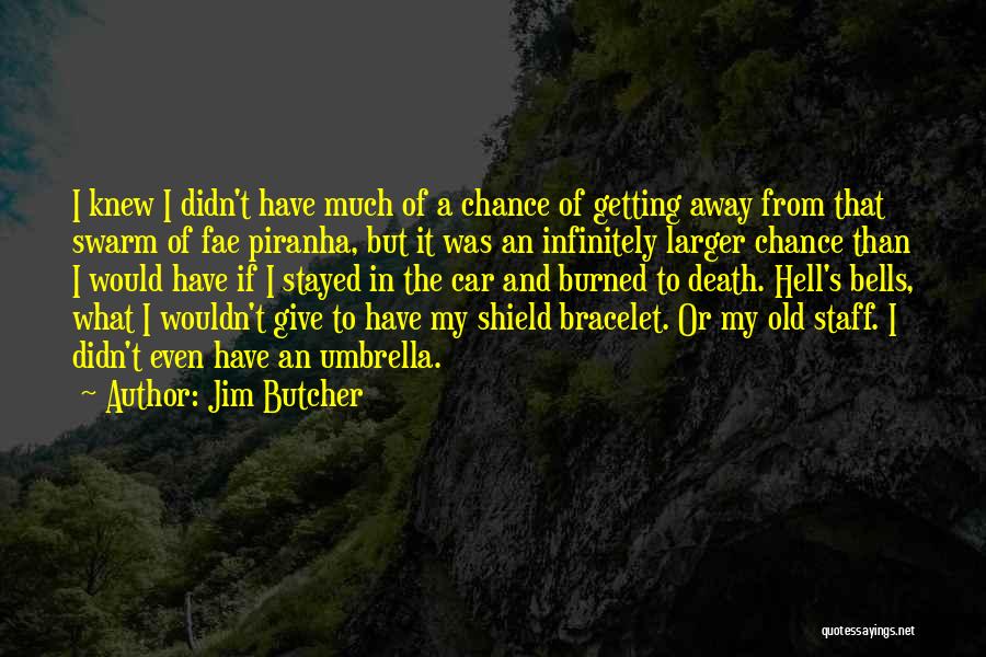 You Didn't Give Me A Chance Quotes By Jim Butcher