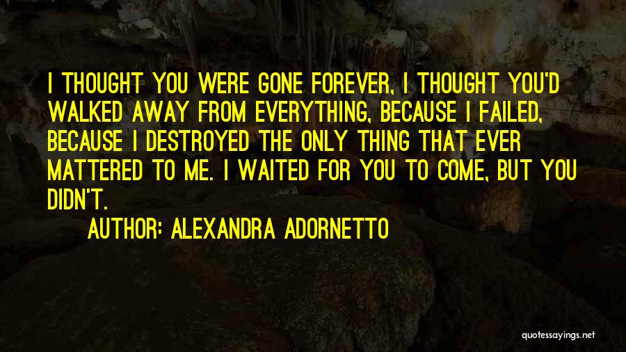 You Didn't Hurt Me Quotes By Alexandra Adornetto