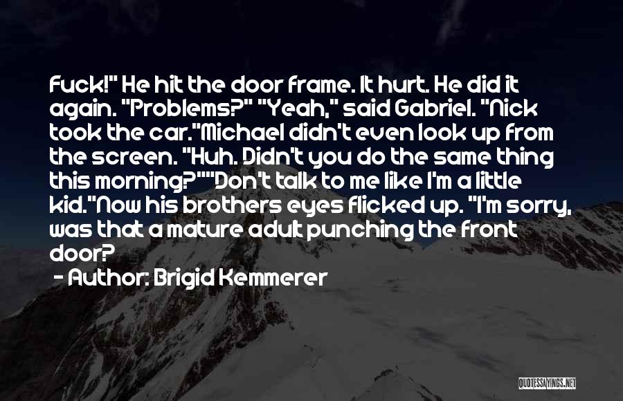 You Didn't Hurt Me Quotes By Brigid Kemmerer