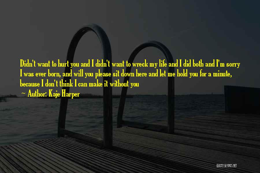 You Didn't Hurt Me Quotes By Kaje Harper