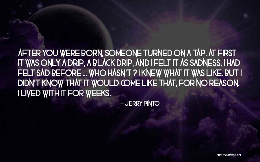 You Didn't Know What You Had Quotes By Jerry Pinto You Didn't Know What You Had Quotes By Jerry Pinto