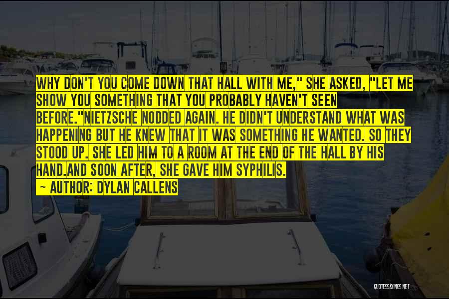 You Didn't Let Me Down Quotes By Dylan Callens