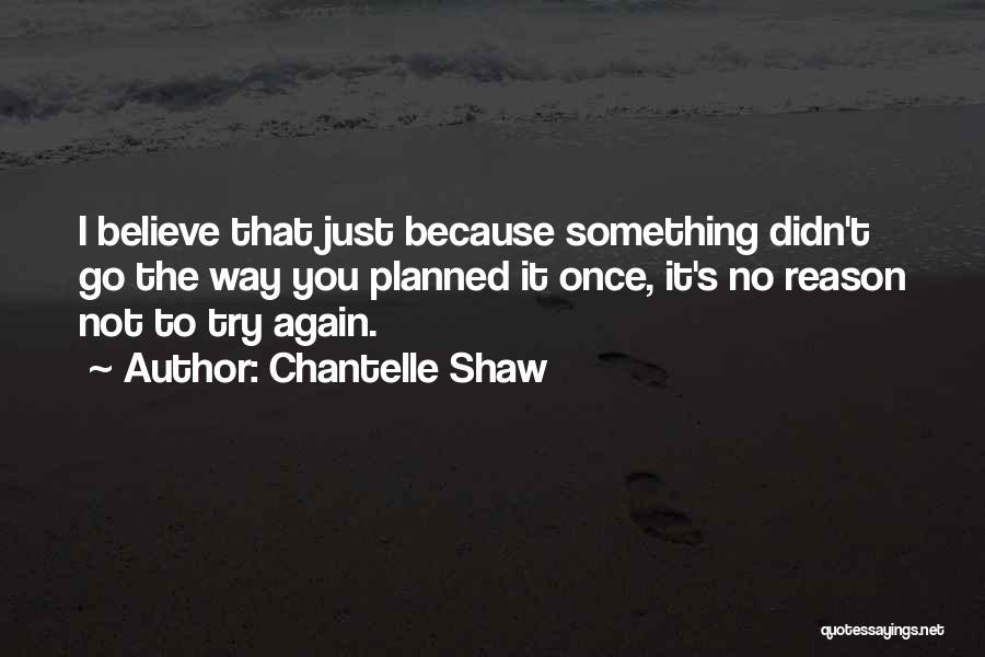 You Didn't Try Quotes By Chantelle Shaw